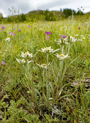 Similar image 21696602