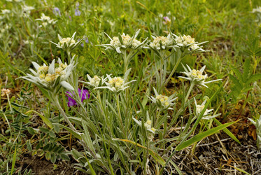 Similar image 21696603