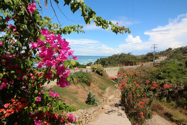 Similar image 21693976