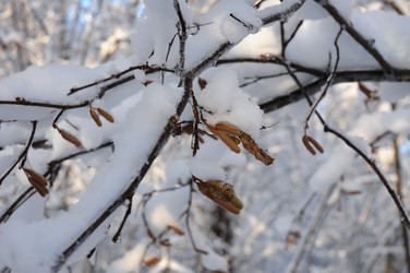 Similar image 21693977