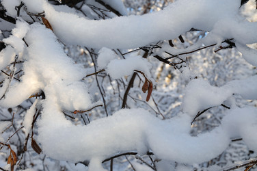 Similar image 21693978