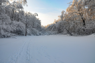 Similar image 21693980