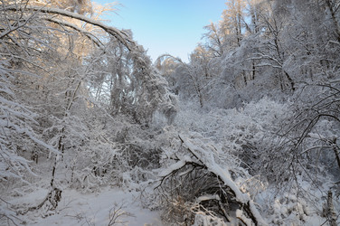 Similar image 21693981