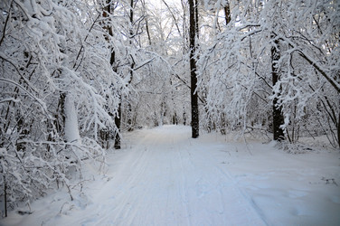 Similar image 21693982