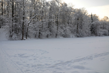 Similar image 21693983