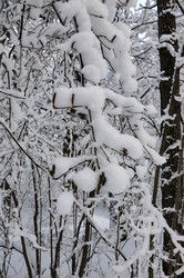 Similar image 21693984