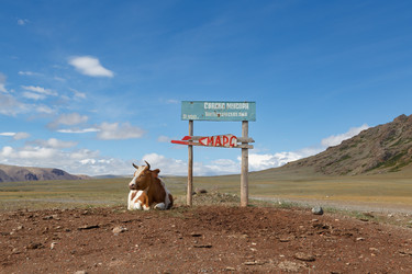 Similar image 21693998