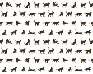 Similar image 21694003