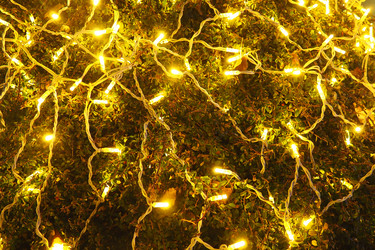 Similar image 21696245