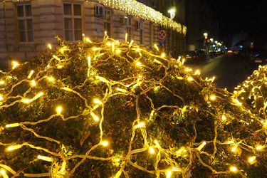 Similar image 21696246