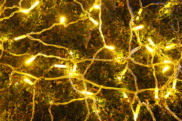 Similar image 21696247