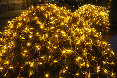 Similar image 21696249