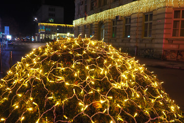 Similar image 21696250