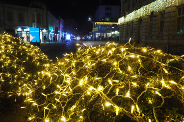 Similar image 21696251