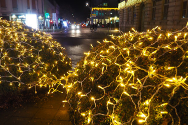 Similar image 21696252