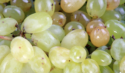 Similar image 21694224