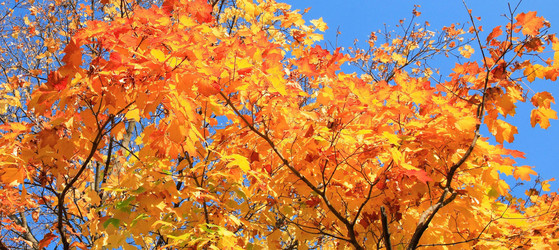 Similar image 21694236