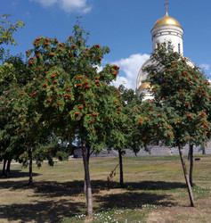 Similar image 21694238