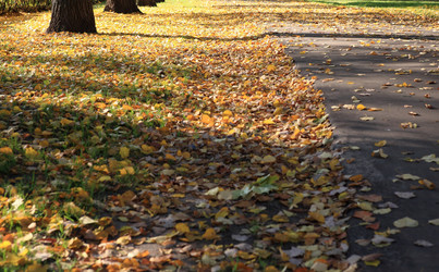 Similar image 21694257