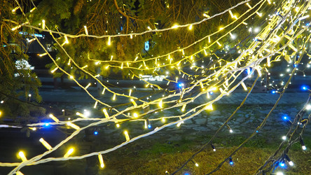 Similar image 21696256