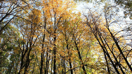 Similar image 21694416