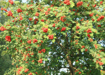 Similar image 21694419