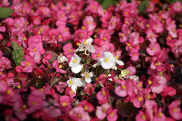 Similar image 21696610