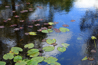 Similar image 21696612