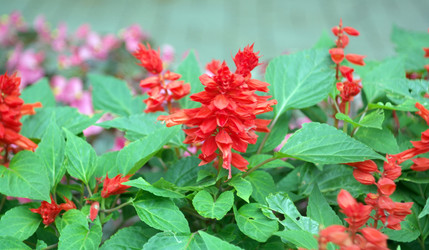 Similar image 21696626