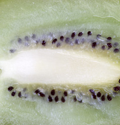 Similar image 21696637