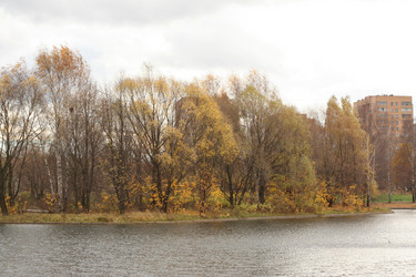 Similar image 21696640