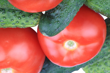 Similar image 21696641