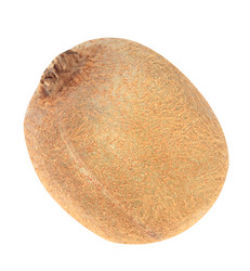 Similar image 21696645