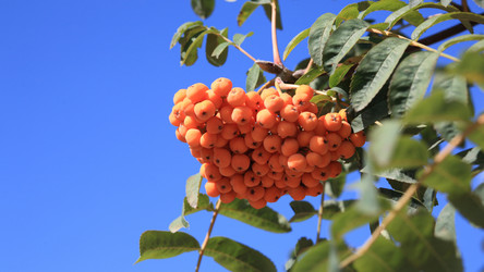 Similar image 21696649