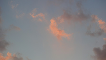 Similar image 21696659