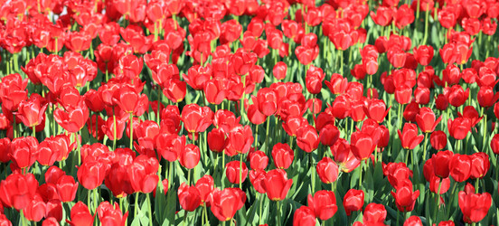 Similar image 21696683