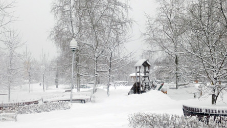 Similar image 21696691