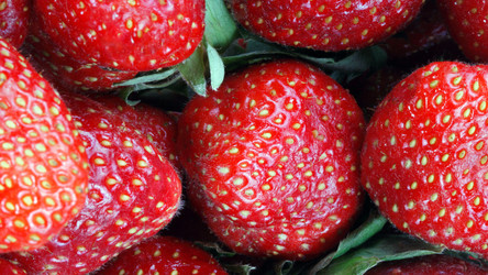 Similar image 21696692