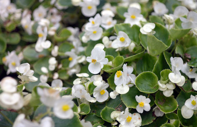 Similar image 21696711