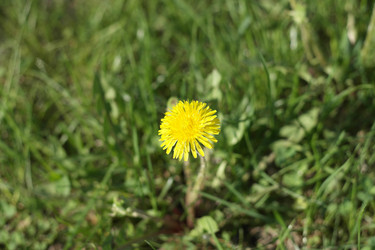 Similar image 21696715