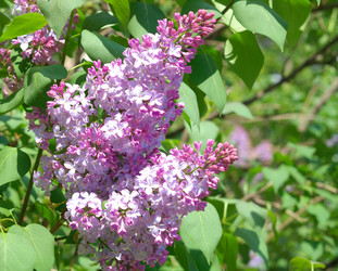 Similar image 21696721