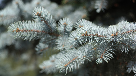 Similar image 21696722