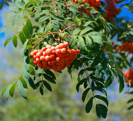 Similar image 21696724