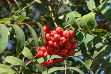 Similar image 21696727