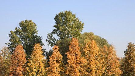 Similar image 21696729