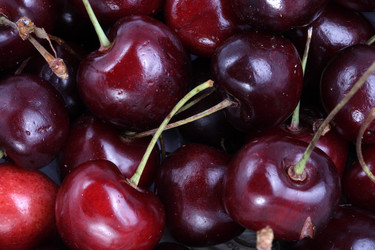 Similar image 21696731