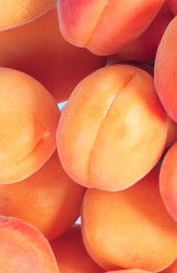 Similar image 21696734