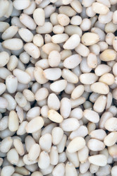 Similar image 21696735