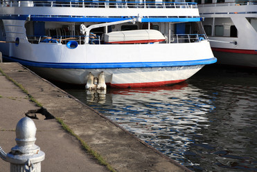 Similar image 21696738