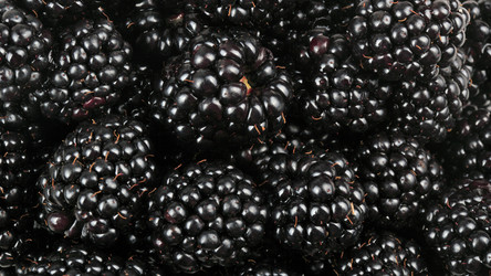 Similar image 21696960